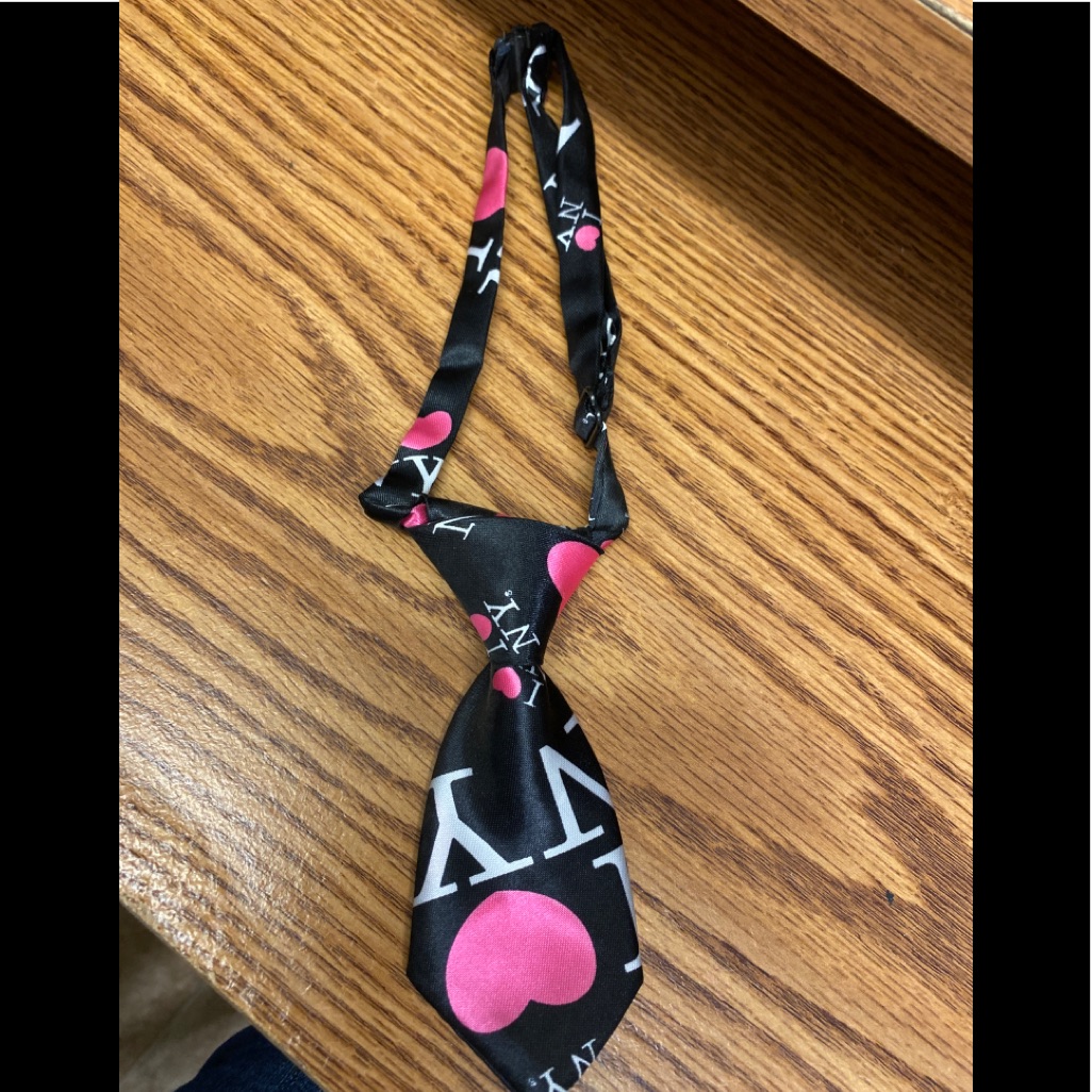 Pet Statement Tie